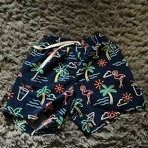 Chubbies swimsuit